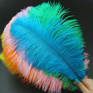 Grande plume d'autruche multicolore pour la décoration <span class=keywords><strong>de</strong></span> mariage Oiseau d'Afrique du Sud Costume <span class=keywords><strong>de</strong></span> carnaval d'art réel - Product Image 1
