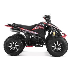 Tao Motor 2024 Nouveau ATV 250cc 4x4 Cuatrimoto - Product Image 4