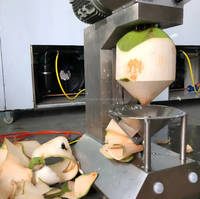 Éplucheur manuel de noix de coco avec couteau, grattoir à main et râpe Éplucheur de fruits Eletronik pour l'industrie agricole