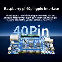 Placa de Desarrollo Mini Feiling RK3506 Rockchip Integrada para Placa Base, Bajo Consumo de Energía, Interfaz Raspberry Pi, Sistema Operativo Linux