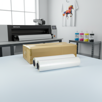 Offre Spéciale Film de Transfert Thermique DTF PET Double Face de Haute Qualité 60cm de Large, Encre Réfléchissante, Impression Numérique A3/A4 pour Vêtements