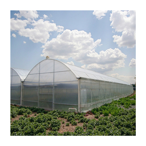 Automatizado Tunel De Efecto Invernaderos Usados Para La Venta Gotico Sistema Nebulisateur Pour Serre Agricale Tunnel Tomate - Product Image 1