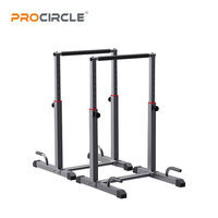 Barre de dips DP8227 réglable en hauteur, capacité de charge 250 kg, barres parallèles, équipement de calisthénie pour salle de sport à domicile