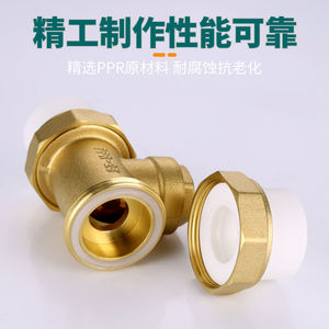 วาล์วกันกลับแบบสองทาง PPR ขนาด 20/25/32 มม. ตัววาล์วทองแดง สำหรับท่อน้ำ แบบแนวนอนและแนวตั้ง - Product Image 4