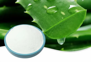 Ingrediente cosmético natural para el cuidado de la piel Extracto de gel de <span class=keywords><strong>Aloe</strong></span> <span class=keywords><strong>Vera</strong></span> Puro Emodin Aloin Aloevera Gel Polvo Liofilizado - Product Image 4