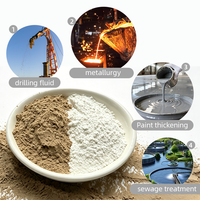 Argile décolorante activée : prix de l'argile bentonite en poudre pour la décoloration des huiles industrielles usagées (Fuller's Earth)