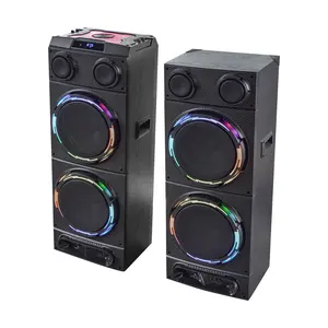 Altoparlante stereo Wireless PA DJ Karaoke altoparlante subwoofer professionale da esterno con luce a LED colorata