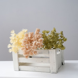 CallaFloral Fleur Artificielle Floquée à Neuf Branches, Plante Verte, Décoration de Mariage, Style INS, Transfrontalier - Product Image 1