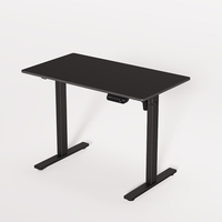 Bureau debout électrique extensible et réglable en hauteur, avec cadre en bois recouvert d'une peinture antirouille, pour une utilisation dans les villas et les meubles de maison