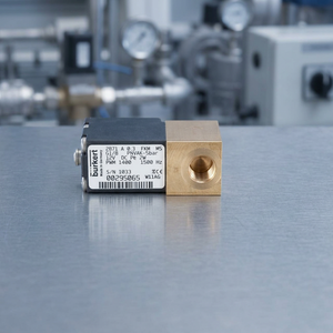 295065 pour électrovanne proportionnelle à action directe 2/2 voies, type 2871, 12V CC, fabricant désoûtogé pour l'Allemagne - Product Image 2