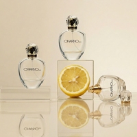 Flacons de parfum en verre poli de 100 ml, élégants et personnalisés pour femmes, avec boîte