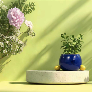 Vasi Grandi in Ceramica Smaltata Moderni per Bonsai e Piante da Giardino, Vendita all'Ingrosso - Product Image 3