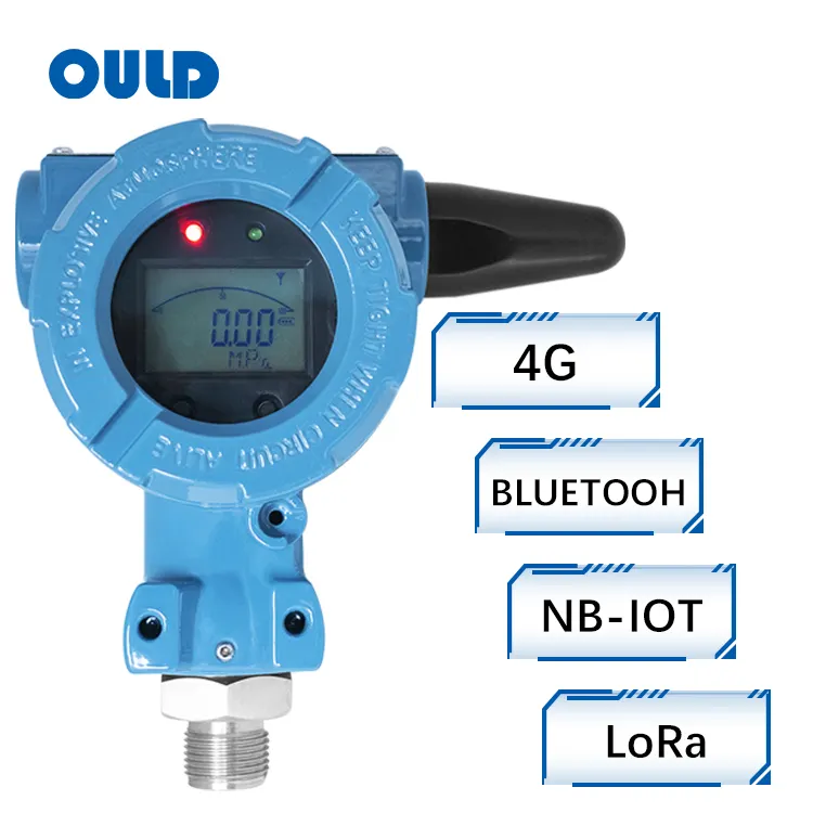 OULD PT-W20 ZigBee、NB-IoT、LORAワイヤレス圧力トランスミッター、水油ガス用LCDディスプレイ付き