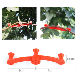 Podadora de ramas DaringFish con ángulo ajustable, herramienta de jardinería reutilizable para dar forma a árboles <span class=keywords><strong>frutales</strong></span> y bonsáis - Product Image 3