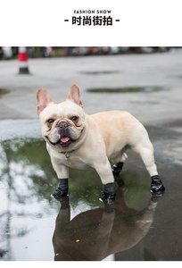 छोटे पिल्ला वर्षा बूट वाटरप्रूफ रबर कुत्ते जूते और पिल्लों के लिए मोजे - Product Image 5