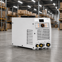 Poste à souder TIG 300GTS DC Inverter MMA double tension 220V 380V 300A pour soudage à l'arc tungstène argon de l'acier inoxydable