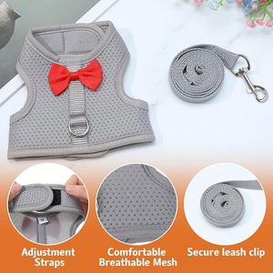 Ensemble Harnais et Laisse pour Lapin, Gilet Respirant en Maille Douce avec Boucles de Sécurité pour Lapins, Cochons d'Inde, Chatons et Furets - Product Image 4
