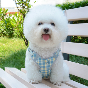 Arnés de malla ajustable para mascotas, chaleco con estampado de fresas para perros y gatos con correa rosa - Product Image 1