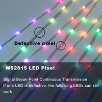 Guirlande lumineuse de Noël RVB adressable individuellement WS2815 Seed Pixel Light 12V 4PIN avec câble de données de secours, IP67, en plastique, effet magique