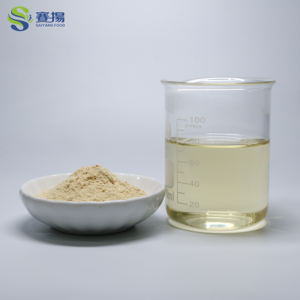 Высококачественный натуральный монашский Фруктовый подсластитель, экстракт Mogroside V 25%, пищевой экстракт монашнего фрукта Mogroside V - Product Image 4