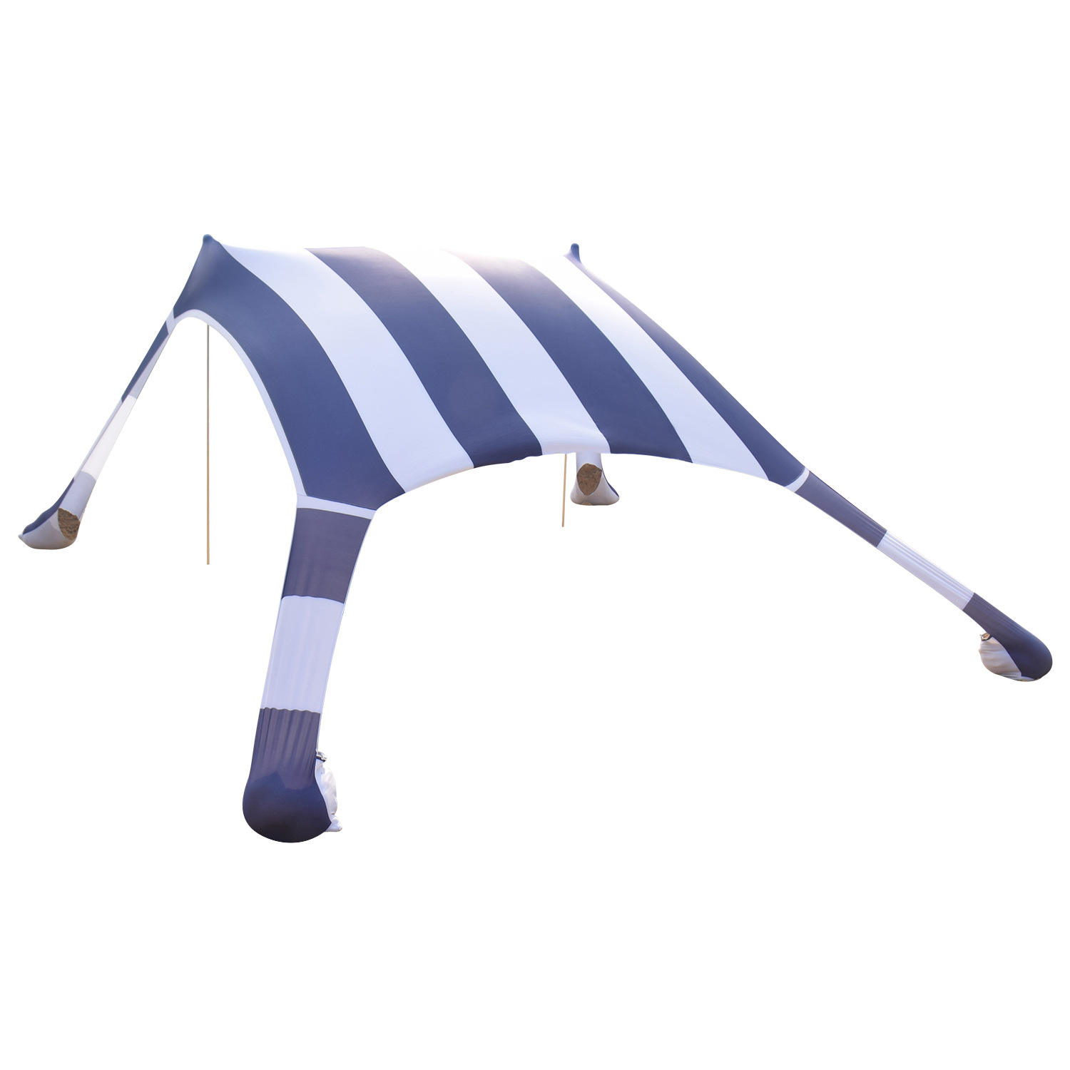 พิมพ์ลายทาง