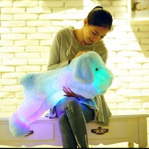 หมอนตุ๊กตาสุนัขผ้าฝ้าย PP สีสันสดใส พร้อมไฟ LED ของเล่นน่ารักสำหรับเด็กทุกเพศ เป็นของขวัญคริสต์มาสสำหรับเด็กเล็ก - Product Image 4