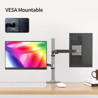 Monitor LCD Portátil de 13 Pulgadas con Pantalla IPS Panorámica de 13.3 Pulgadas, 1080p, Tipo C