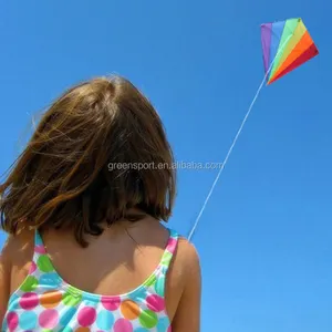 Hot Selling Kite Children's Kites Flying Kite