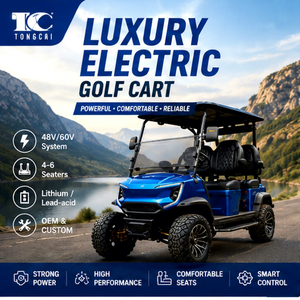 Carrito de Golf Personalizado Estilo Club, Batería de Litio de 72V, 2, 4 o 6 Plazas, 5000W, Ruedas de 14 Pulgadas, Certificado, 4x4 - Product Image 1