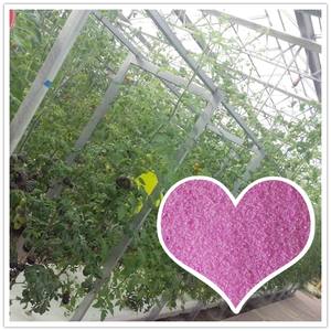 คริสตัลสีชมพูผง <span class=keywords><strong>NPK</strong></span> <span class=keywords><strong>19-19-19</strong></span> Agri ปุ๋ย - Product Image 2