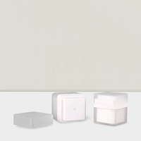15g 30g 50g pots de pompe airless givrés clairs cosmétiques carrés de luxe uniques pour la crème hydratante de visage