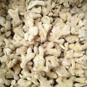 Market Price Per Ton Wholesale High Quality Dried Ginger Ginger For Export In China Ginger