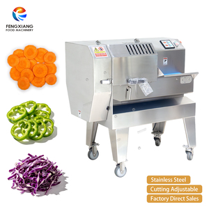 Máquina Cortadora de Vegetales Continua FTS-120, Máquina para Cortar Zanahorias, Repollo, Pimientos y Otros Vegetales - Product Image 1