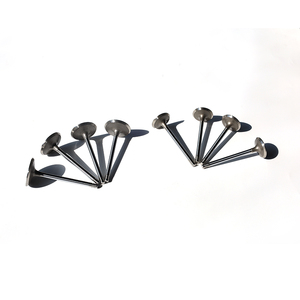 Juego de válvulas de admisión y escape para Jetski Seadoo GTX 4 Tec <span class=keywords><strong>RXT</strong></span> 300, OEM 420253163 420254682 - Product Image 2