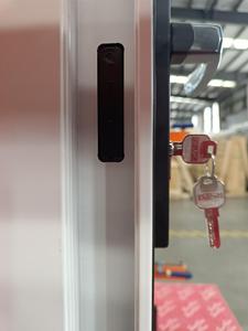 Superhouse <span class=keywords><strong>NOA</strong></span>/FPA certificato nuovo Design resistente agli uragani pannello in alluminio porta francese con vetro - Product Image 6