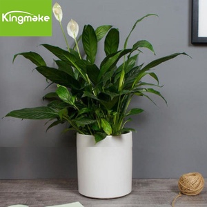 Grand pot <span class=keywords><strong>de</strong></span> <span class=keywords><strong>fleurs</strong></span> <span class=keywords><strong>rectangulaire</strong></span> <span class=keywords><strong>en</strong></span> <span class=keywords><strong>fibre</strong></span> <span class=keywords><strong>de</strong></span> <span class=keywords><strong>verre</strong></span>, jardinière d'extérieur <span class=keywords><strong>en</strong></span> <span class=keywords><strong>fibre</strong></span> d'argile et ciment, pots <span class=keywords><strong>de</strong></span> <span class=keywords><strong>fleurs</strong></span> et jardinières - Product Image 1