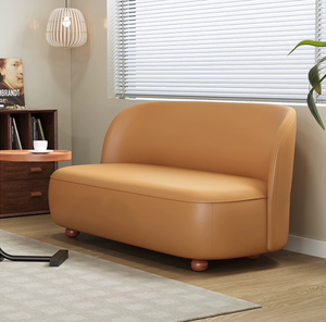Sofá Pequeño Minimalista para Sala de Estar Pequeña, Apartamento Pequeño, Casa de Alquiler Extremadamente Estrecha, Sofá Recto para Dos Personas - Product Image 6