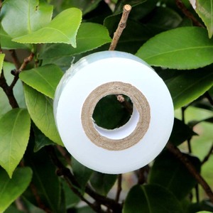Grafting Film White 3Cm PE Stretch Film For Fruit <b>Trees</b> Garden Use - Product Image 1