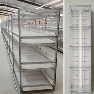 Cage à batterie automatique à 4 niveaux <span class=keywords><strong>pour</strong></span> 80 poules pondeuses, équipement d'élevage avicole <span class=keywords><strong>pour</strong></span> poulets de chair et poules pondeuses - Product Image 3