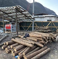 Scie circulaire verticale multi-lames ALWI pour le bois, haute efficacité, 30 kW, largeur de travail 500 mm, 380 V
