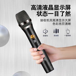 Micrófono Inalámbrico Leigongwang Cr890 con Receptor UHF, Uno a Dos, para Karaoke en Casa, Actuaciones en Escenario, KTV - Product Image 1