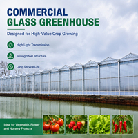 Serre agricole double vitrage de qualité commerciale, structure Venlo multi-travées en acier galvanisé renforcé et robuste