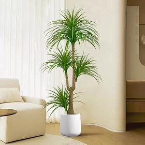 Nolina Recurvata Plantas Dracaena para interiores y exteriores en maceta <span class=keywords><strong>Cola</strong></span> <span class=keywords><strong>de</strong></span> <span class=keywords><strong>caballo</strong></span> Palma Planta <span class=keywords><strong>de</strong></span> <span class=keywords><strong>palmera</strong></span> artificial para el hogar - Product Image 3