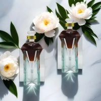 Bouteilles en verre personnalisées, bouteilles en verre vides, revêtement personnalisé pour le rhum, la vodka, les spiritueux exclusifs, emballage pour le lancement d'une nouvelle marque de liqueurs
