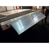 Rampa Deslizante TM PEDANE ES60B con Sistema de Rodamientos de Bolas, Rampa de Carga Manual de Aluminio para Vehículos Pequeños con Ruedas, Capacidad de 4000 kg