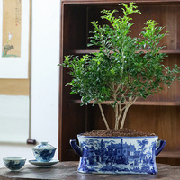 Irlandia pot bunga dekorasi dalam ruangan vintage pot tanaman keramik dicat biru dan putih