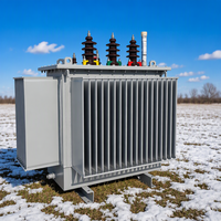 Transformateur de distribution immergé dans l'huile triphasé S20 de 630 kVA, trois enroulements, 50 Hz/60 Hz, pour usage agricole