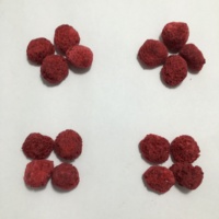Gedroogde natuurlijke frambozen snack fruit bak ingrediënten hele frambozen chips zuur & zoet zonder suiker
