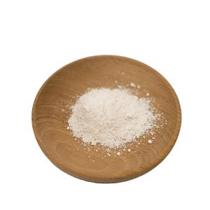 Gıda Sınıfı Bitkisel Ekstrakt Doğal Akkermansia Muciniphila Probiyotik Tozu 100 Milyar CFU/g Beyaz İnce Toz - Product Image 1