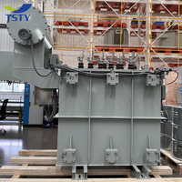 Transformateur immergé dans l'huile TSTY à enroulements entièrement en cuivre 33kV 400V 3000KVA 5000KVA pour la production d'énergie